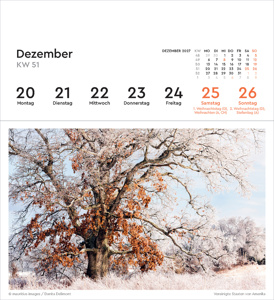 Weitere Ansicht: Alte Bäume - KUNTH Postkartenkalender 2027