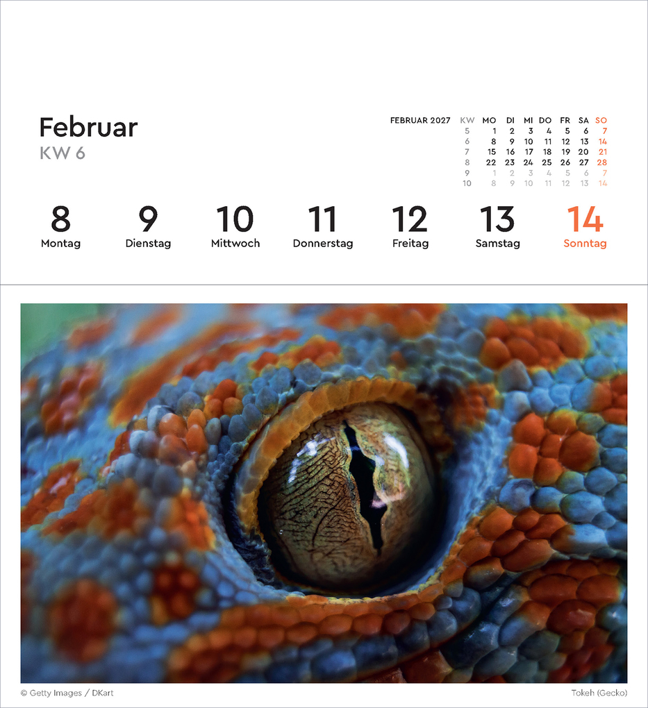 Weitere Ansicht: Strukturen - KUNTH Postkartenkalender 2027