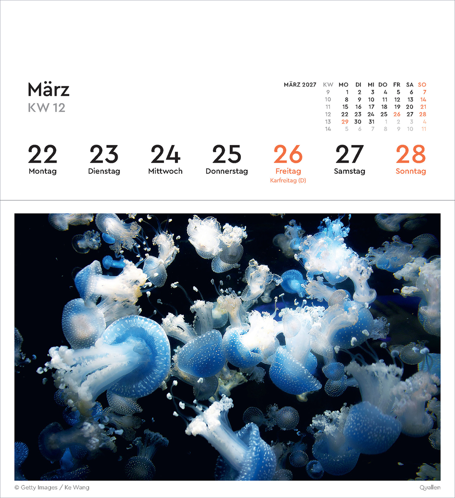 Weitere Ansicht: Strukturen - KUNTH Postkartenkalender 2027