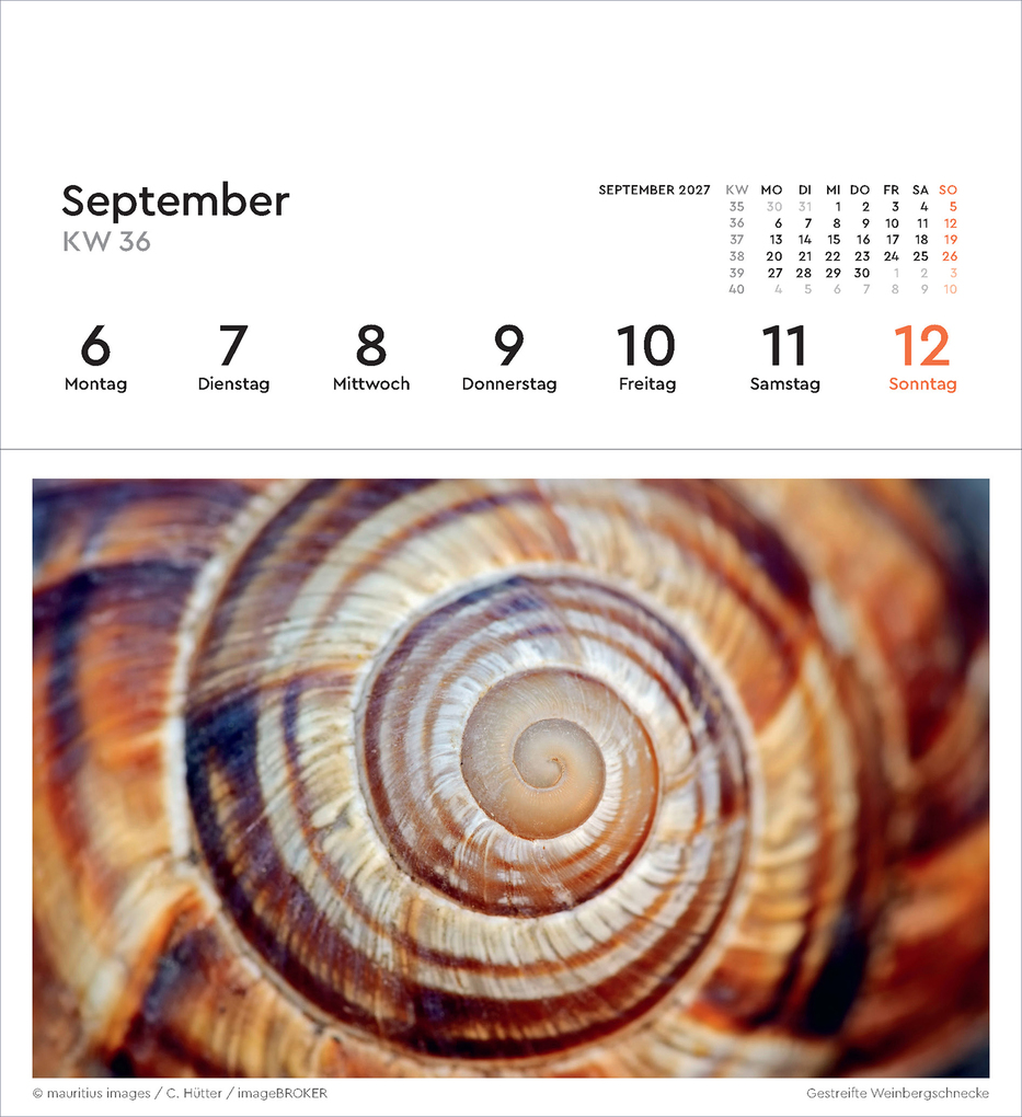 Weitere Ansicht: Strukturen - KUNTH Postkartenkalender 2027