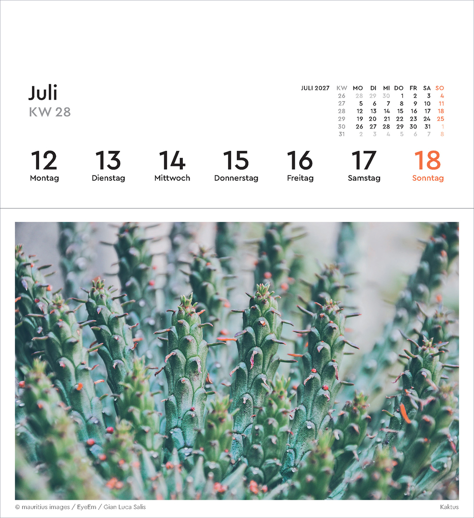 Weitere Ansicht: Strukturen - KUNTH Postkartenkalender 2027