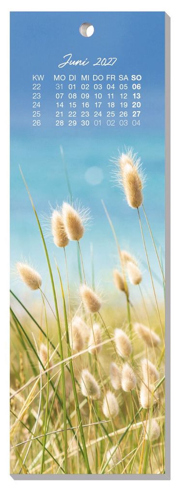 Weitere Ansicht: Lesezeichenkalender 2027 | Häfft-Verlag GmbH