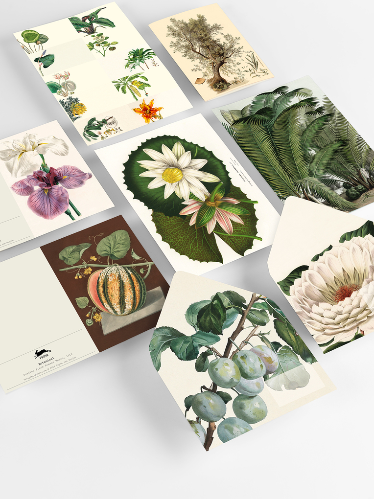 Weitere Ansicht: Botanical | Pepin Van Roojen