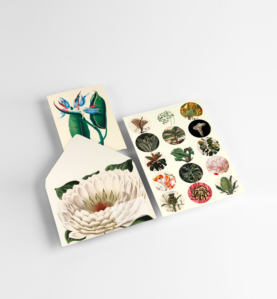 Weitere Ansicht: Botanical | Pepin Van Roojen