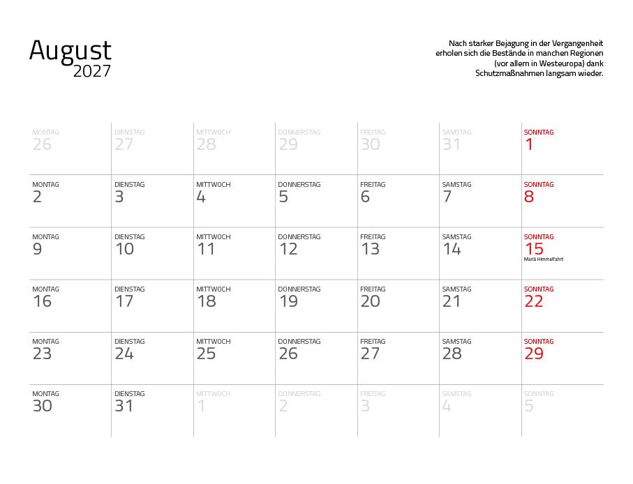 Weitere Ansicht: Otter Kalender 2027 Wandkalender Eintragkalender
