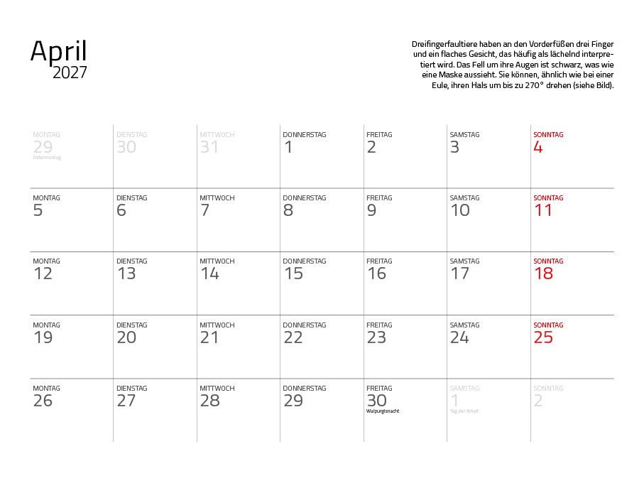 Weitere Ansicht: Faultiere Kalender 2027 Eintragkalender