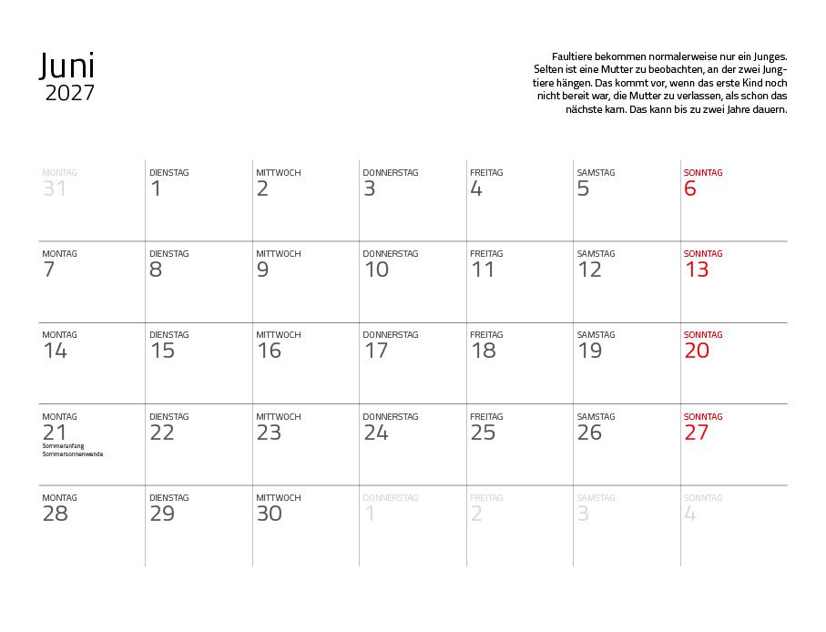 Weitere Ansicht: Faultiere Kalender 2027 Eintragkalender