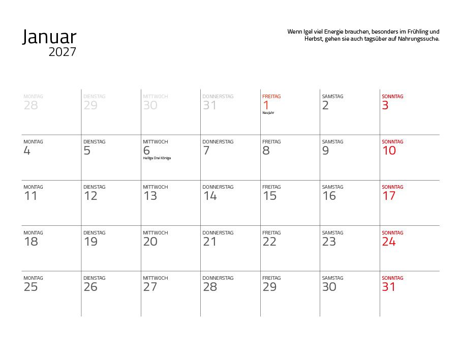 Weitere Ansicht: Igel 2027 Eintragkalender