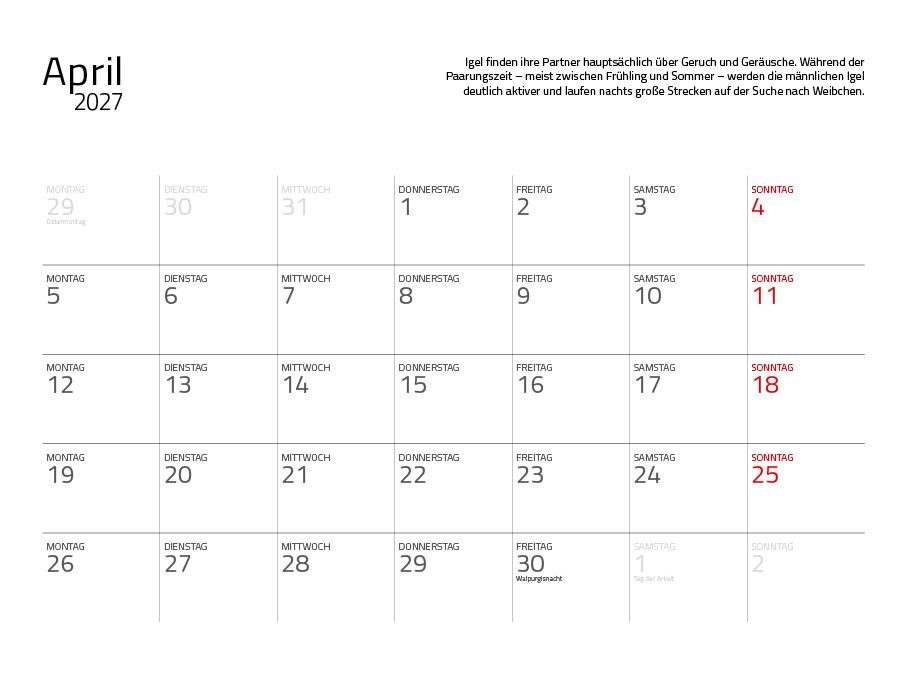 Weitere Ansicht: Igel 2027 Eintragkalender