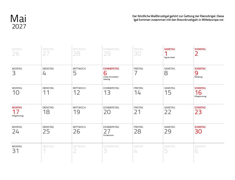 Weitere Ansicht: Igel 2027 Eintragkalender