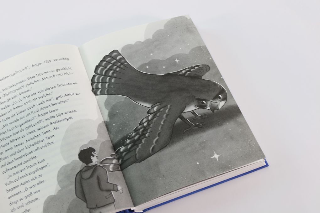 Weitere Ansicht: Soul Wings (Band 1) - Die Prophezeiung der magischen Vögel | Stefan Gemmel