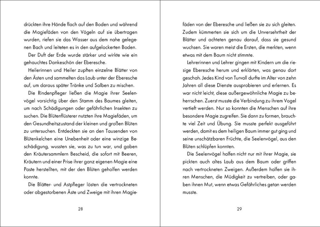 Weitere Ansicht: Soul Wings (Band 1) - Die Prophezeiung der magischen Vögel | Stefan Gemmel