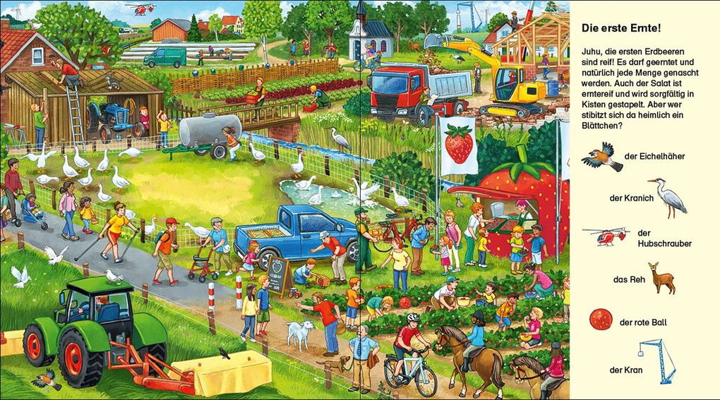 Weitere Ansicht: Suche und finde! Bauernhof