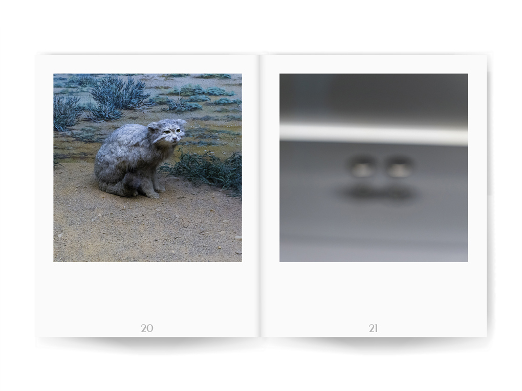 Weitere Ansicht: Musea | Michael Rieken