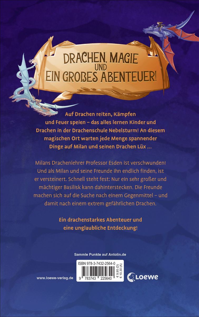 Weitere Ansicht: Drachenschule Nebelsturm (Band 5) - Der versteinerte Drache | Christian Tielmann