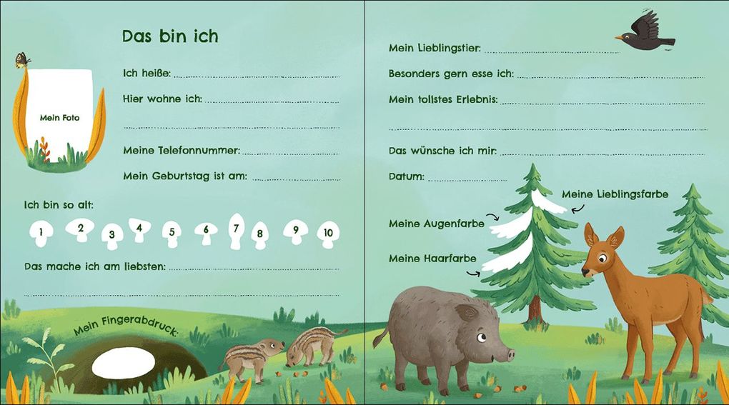 Weitere Ansicht: Meine Kindergarten-Freunde (Waldtiere)