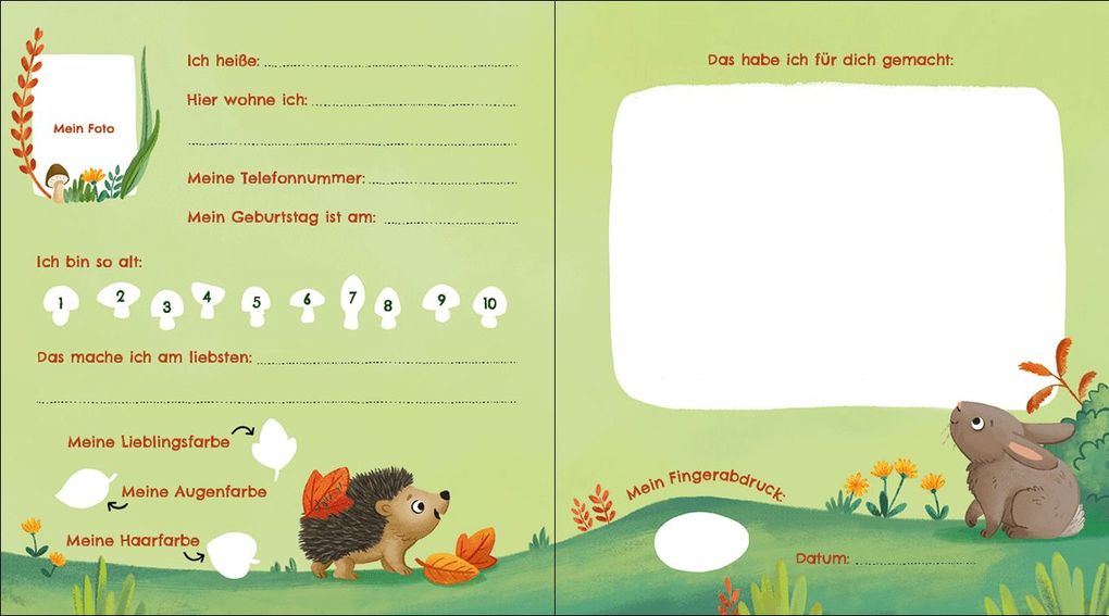 Weitere Ansicht: Meine Kindergarten-Freunde (Waldtiere)