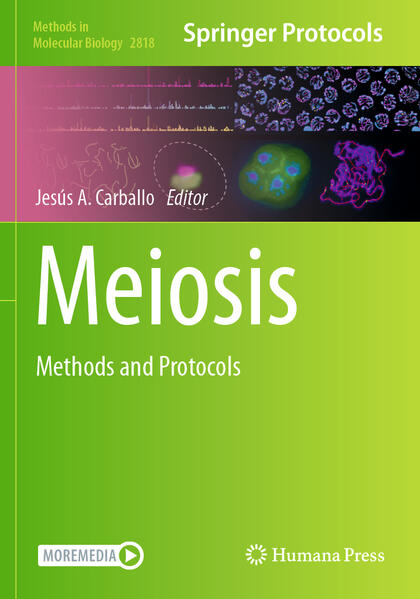 Produktbild: Meiosis