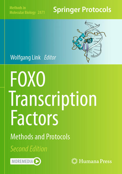 Produktbild: FOXO Transcription Factors