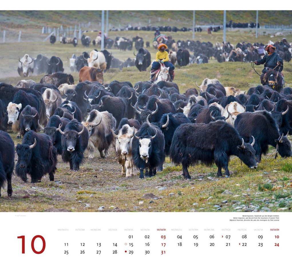 Weitere Ansicht: Tibet 2027