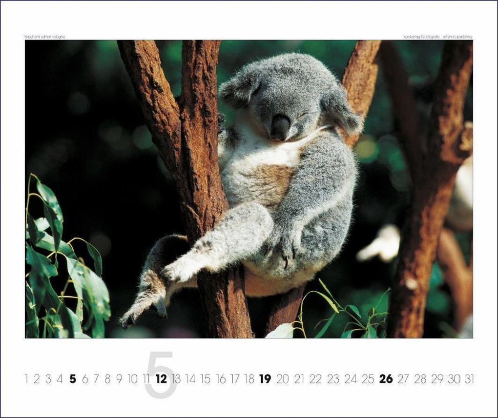 Weitere Ansicht: Australien 2026