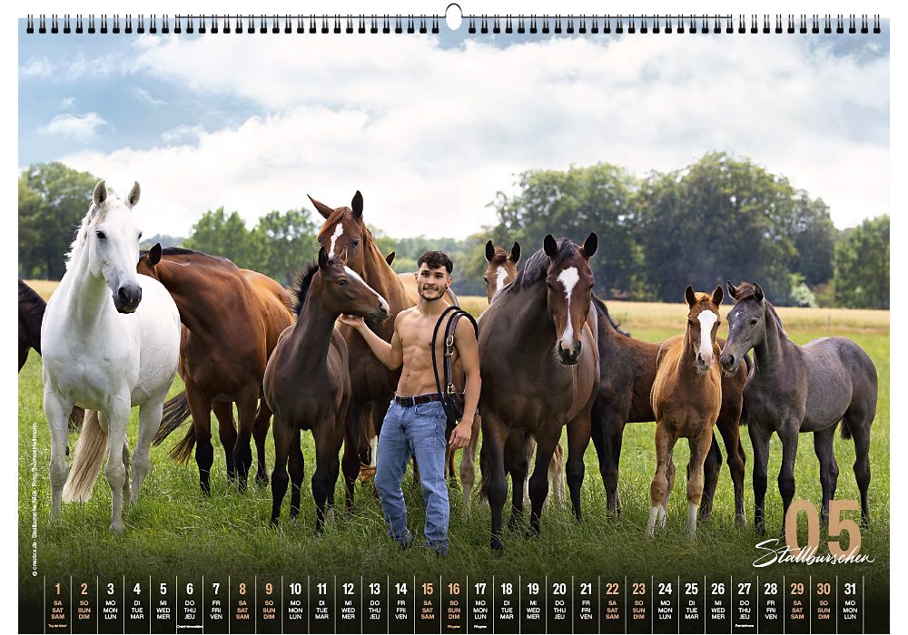 Weitere Ansicht: Stallburschen 2027