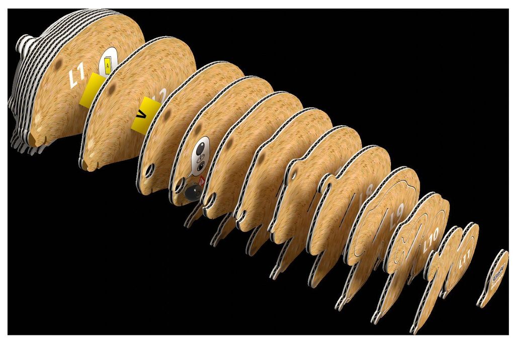 Weitere Ansicht: EUGY - 3D Bastelset Wombat
