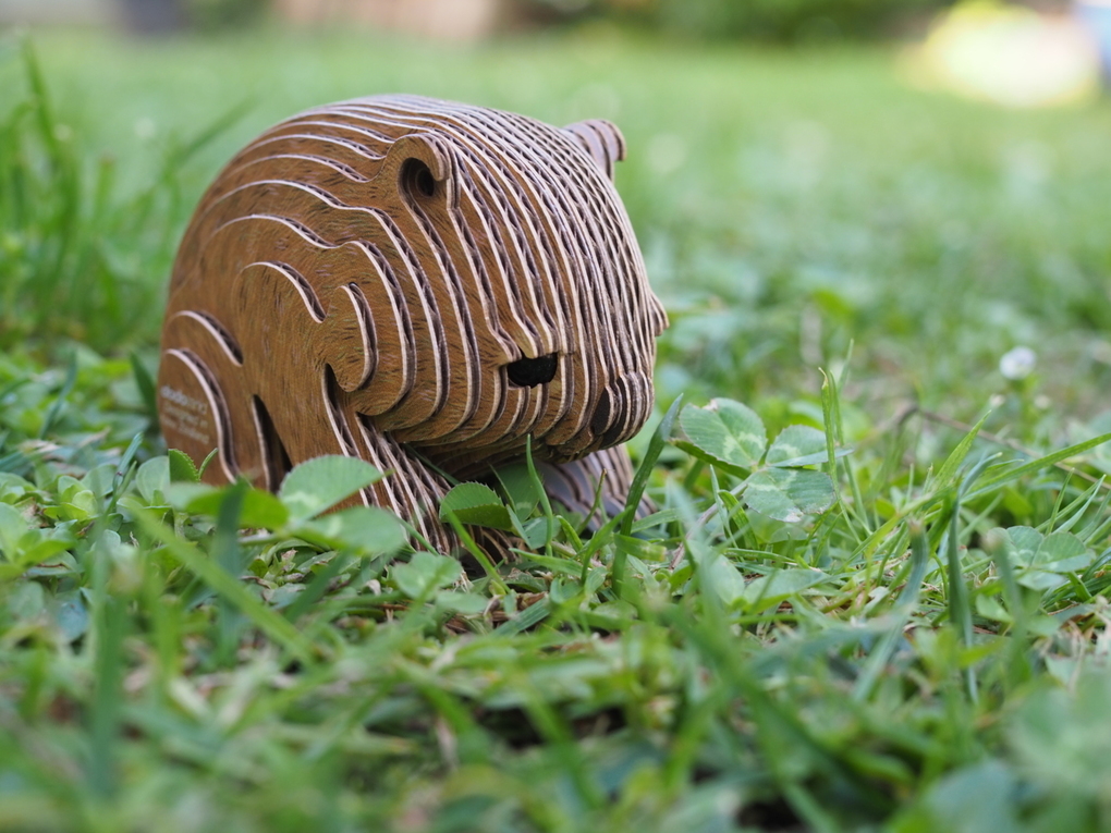 Weitere Ansicht: EUGY - 3D Bastelset Wombat