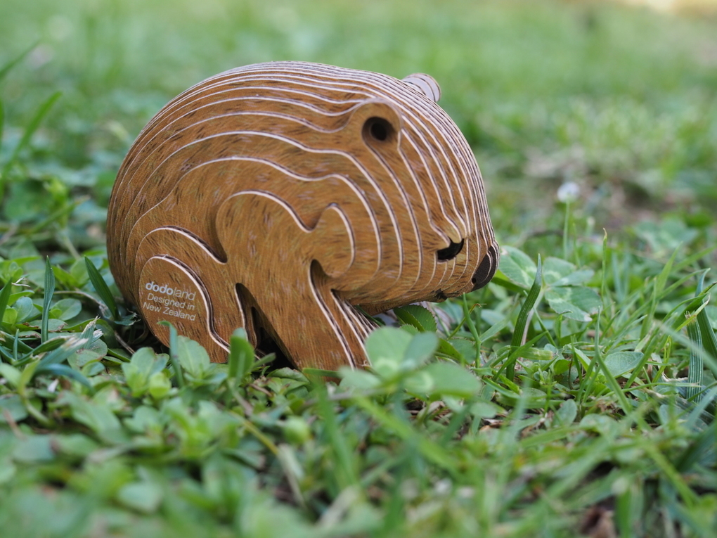 Weitere Ansicht: EUGY - 3D Bastelset Wombat