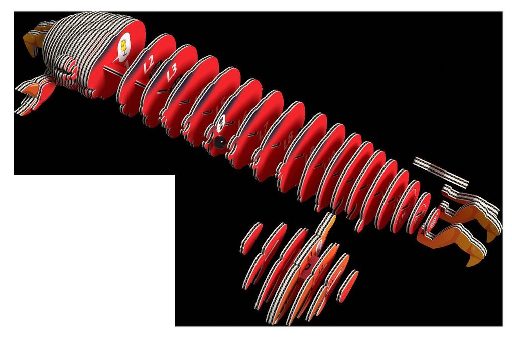 Weitere Ansicht: EUGY - 3D Bastelset Krabbe