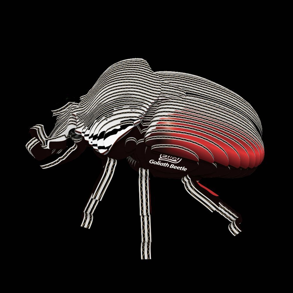 Weitere Ansicht: EUGY - 3D Bastelset Goliathkäfer