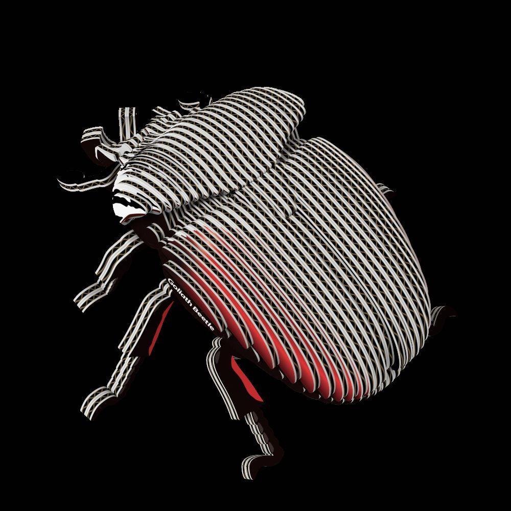 Weitere Ansicht: EUGY - 3D Bastelset Goliathkäfer
