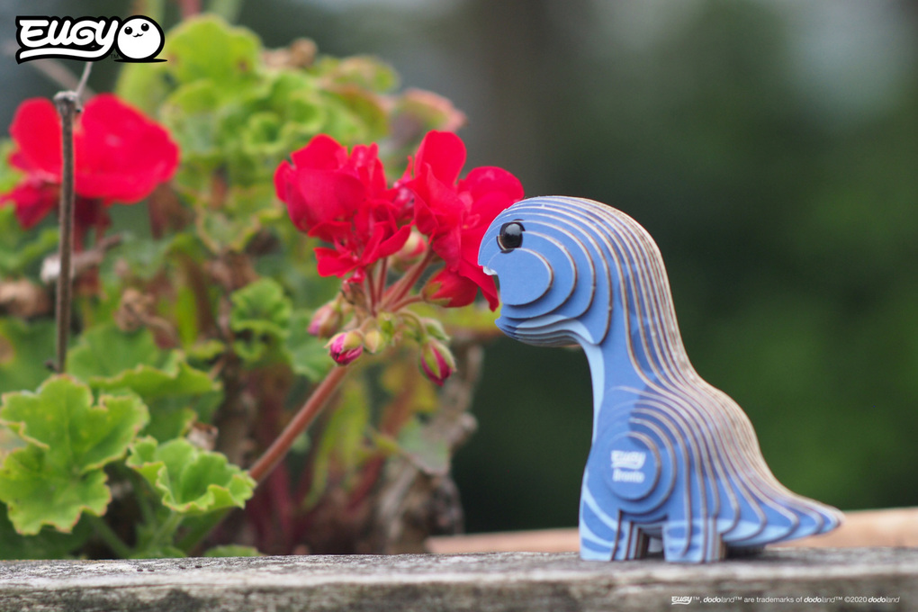 Weitere Ansicht: EUGY - 3D Bastelset Brontosaurus