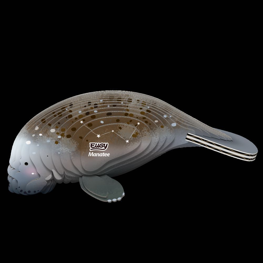 Weitere Ansicht: EUGY - 3D Bastelset Seekuh