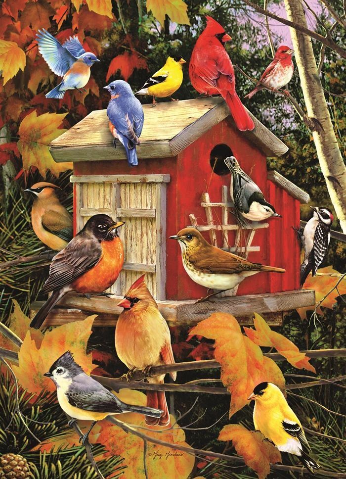 Weitere Ansicht: COBBLE HILL PUZZLES - Herbstvogelhäuschen 500 Teile