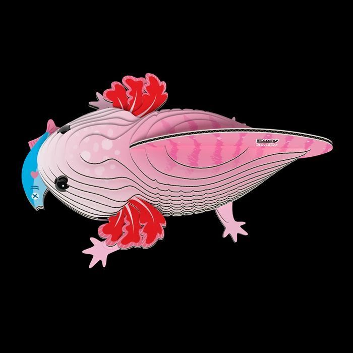Weitere Ansicht: EUGY - 3D Bastelset Axolotl