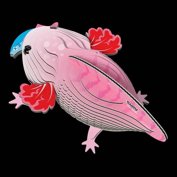Weitere Ansicht: EUGY - 3D Bastelset Axolotl