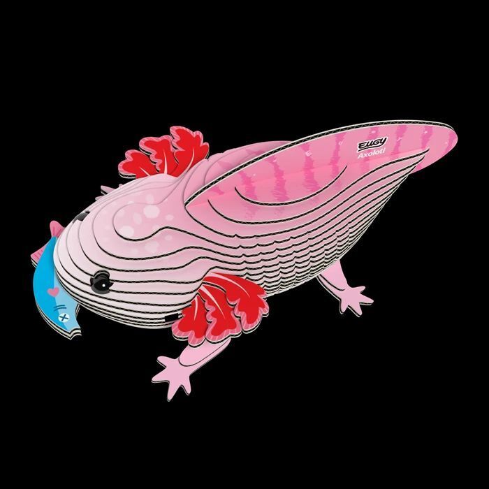 Weitere Ansicht: EUGY - 3D Bastelset Axolotl