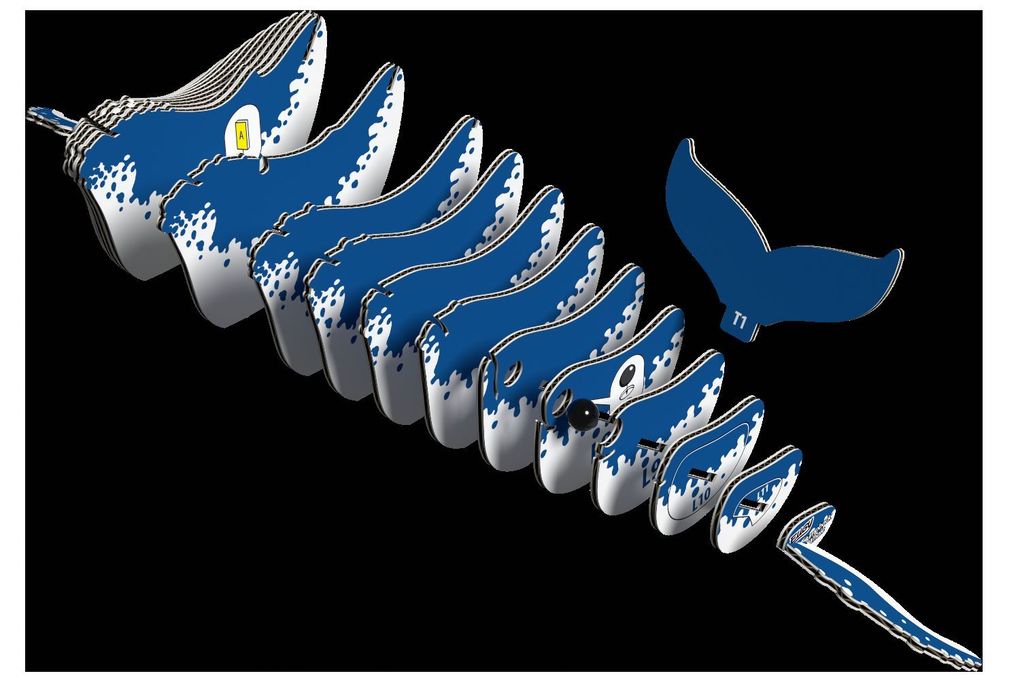 Weitere Ansicht: EUGY - 3D Bastelset Buckelwal
