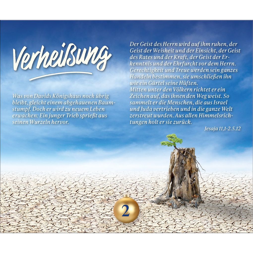 Weitere Ansicht: Wie ein helles Licht in der Nacht