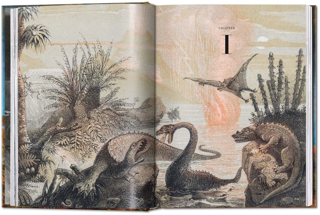 Weitere Ansicht: Paleoart | Walton Ford
