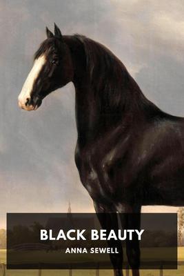 Produktbild: Black Beauty | Anna Sewell