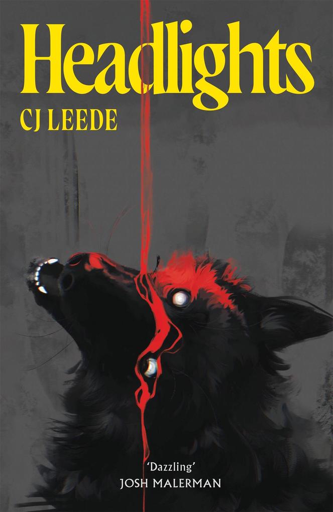 Produktbild: Headlights | Cj Leede
