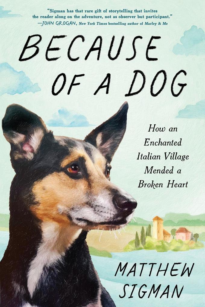 Produktbild: Because of a Dog | Matthew Sigman