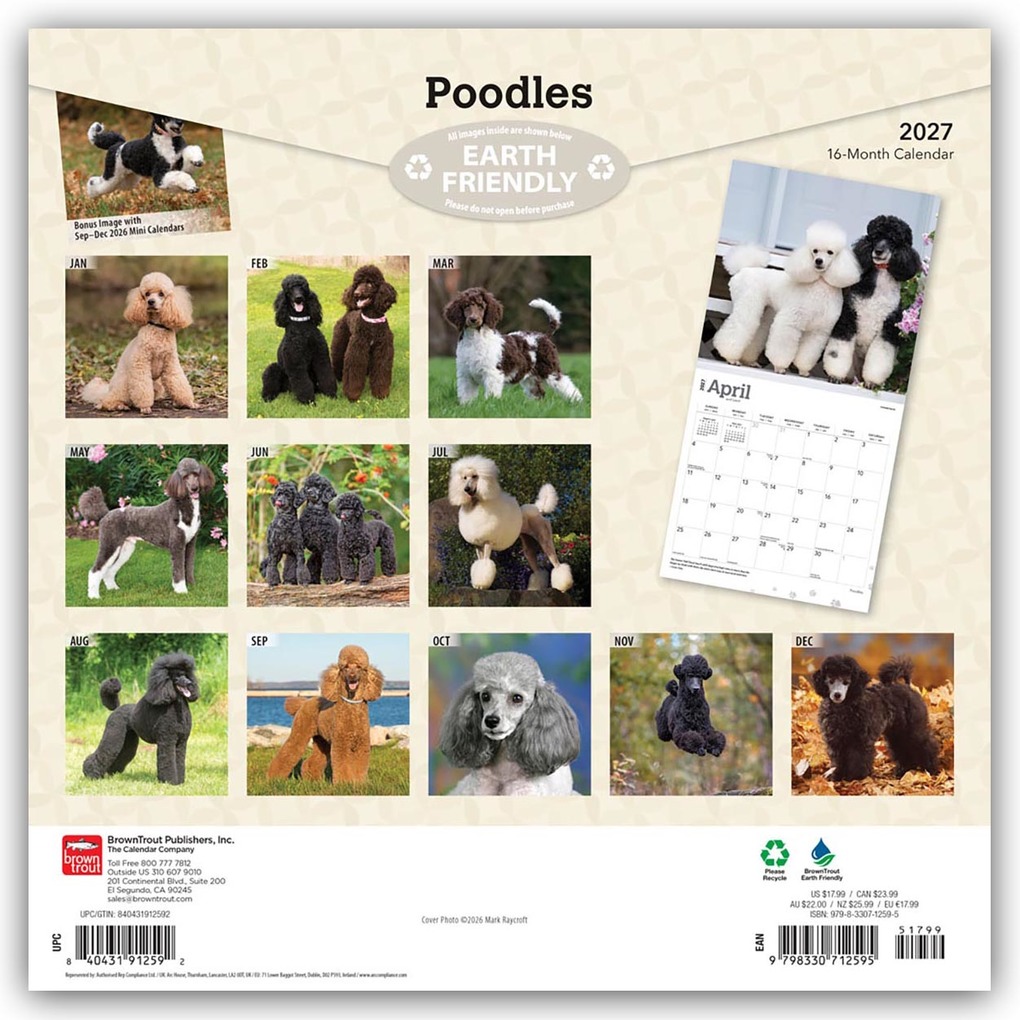 Weitere Ansicht: Poodles - Pudel 2027 - 16-Monatskalender | Browntrout Publishers