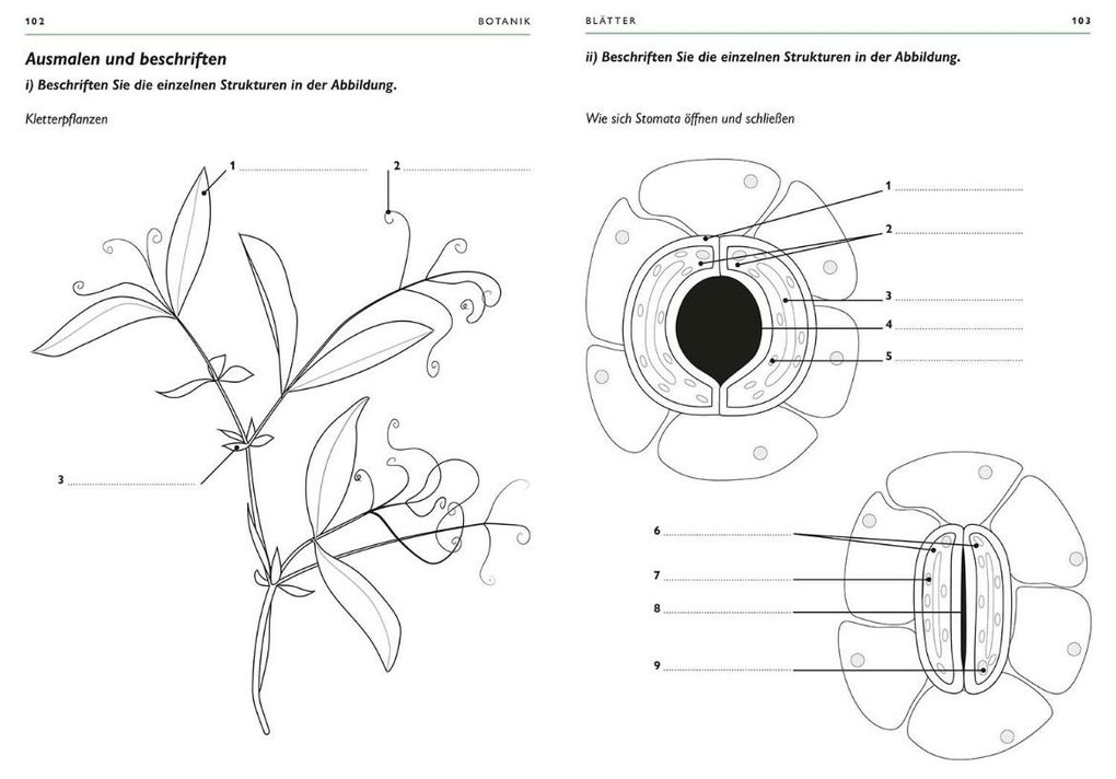 Weitere Ansicht: Botanik | Ken Ashwell