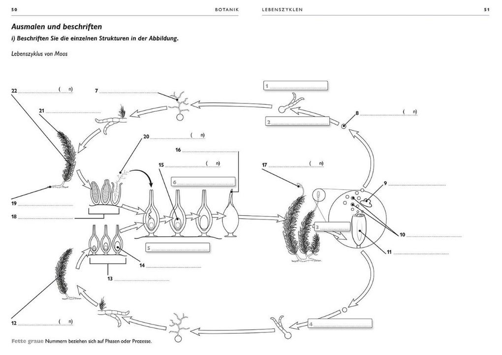 Weitere Ansicht: Botanik | Ken Ashwell