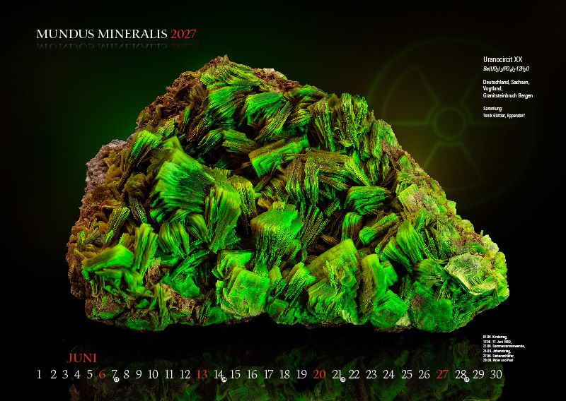 Weitere Ansicht: MUNDUS MINERALIS 2027 | Jörg Neubert