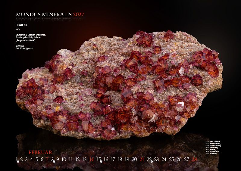 Weitere Ansicht: MUNDUS MINERALIS 2027 | Jörg Neubert