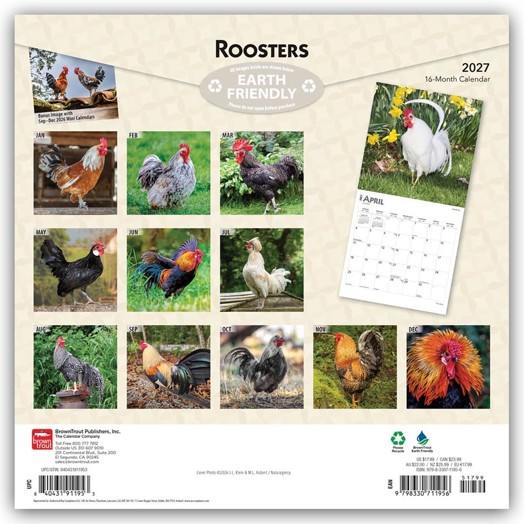 Weitere Ansicht: Roosters - Hähne 2027 - 16-Monatskalender | Browntrout Publishers